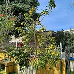 Apartment The Apricot House, Alle Porte Di *