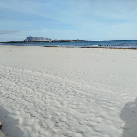 The Apricot House, Alle Porte Di San Teodoro (Sardinia)
